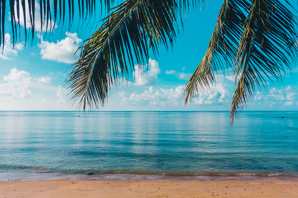 5+1 ötlet a tökéletes kerti partihoz 😎 beautiful outdoor tropical beach sea paradise island